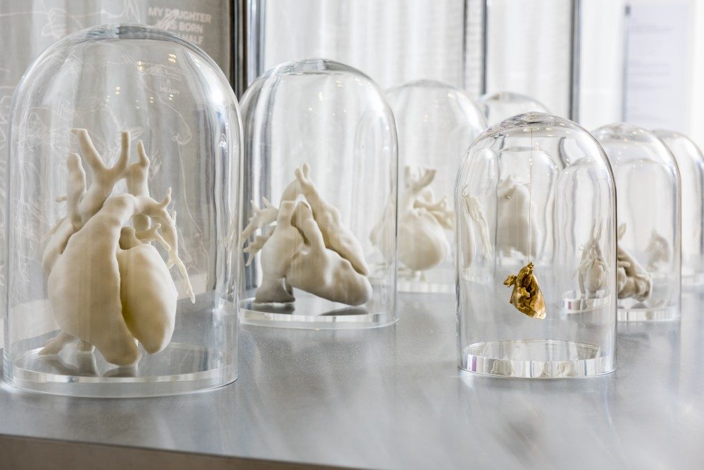 3D Printed Hearts, Both Real and Imagined, On Display in New Exhibit