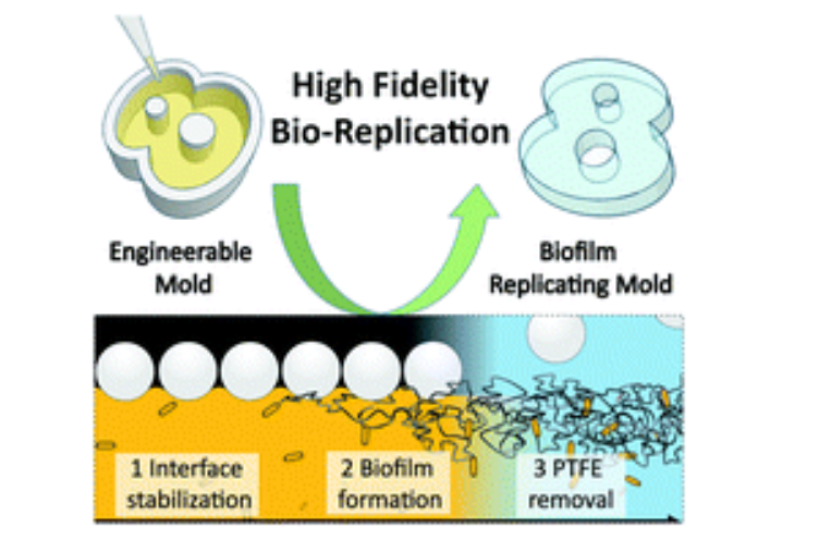 Aalto University Researchers Study Biofabrication of Nanocellulosic 3D Structures