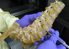 3D Printing for Diagnosing and Treating Cancer and R&D Tax Credits