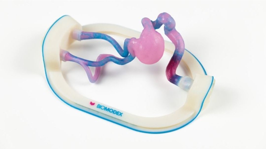 3D Printing Investments: BIOMODEX and INTAMSYS Complete Funding Rounds