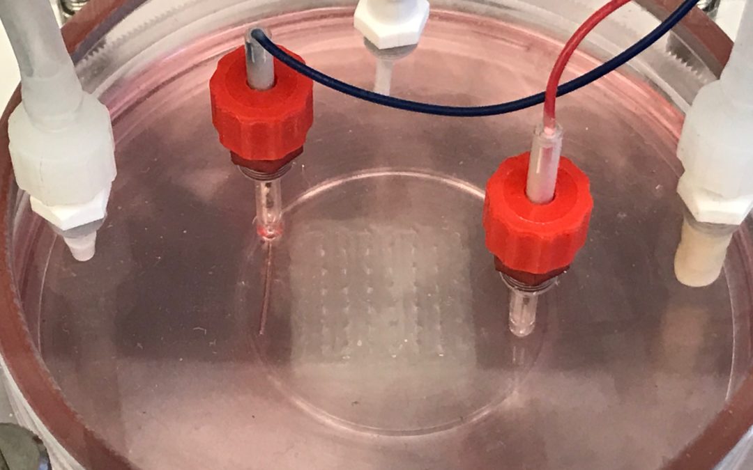 BIOLIFE4D Successfully 3D Prints Human Heart Tissue Ahead of Schedule