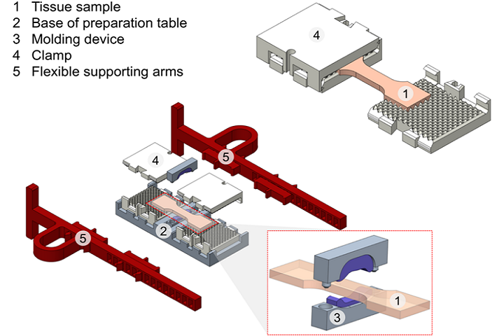 Researchers 3D Print Clamping Systems to Cut Down on Slippage During Soft Tissue Testing