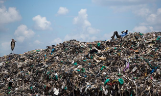 Global Environment Concerns Support R&D for Plastic Recycling in 3D Printing