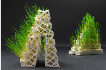 GROWLAY 3D Printer Filament Allows You to Grow Plants, Mushrooms or Even Cheese