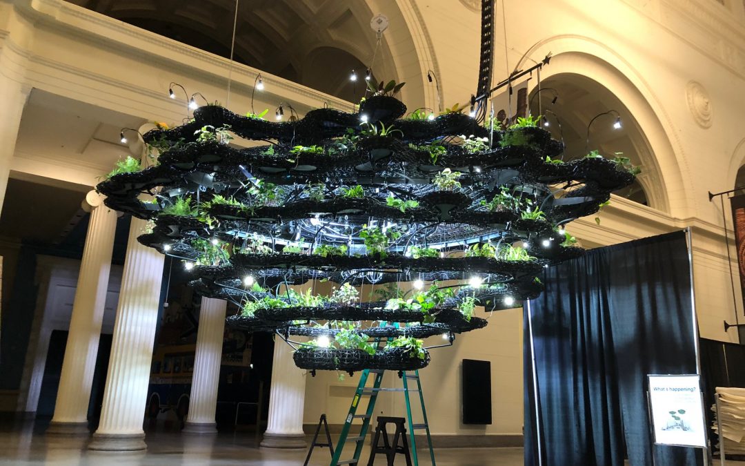 Branch Technology and Techmer PM Unveil a 3D Printed Band Shell and Hanging Gardens