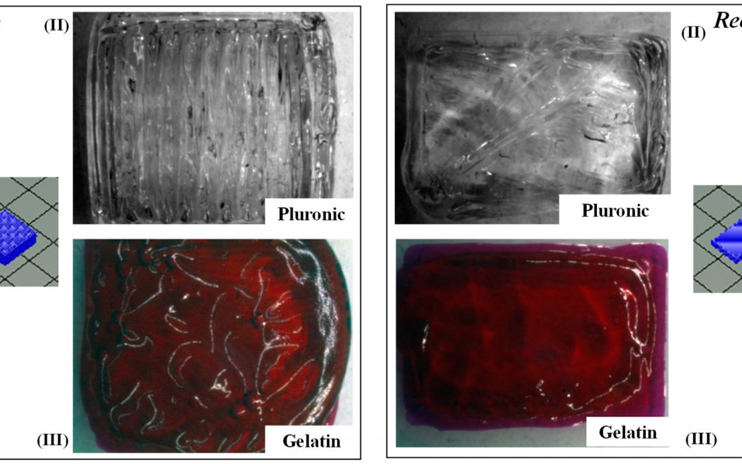 3D Bioprinting: Comparing Lattice Scaffolds with Traditional Rectangular Sheets