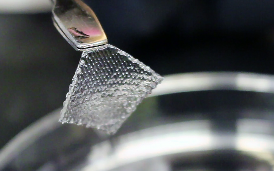 Bioprinting 101: Part 2 Hydrogels
