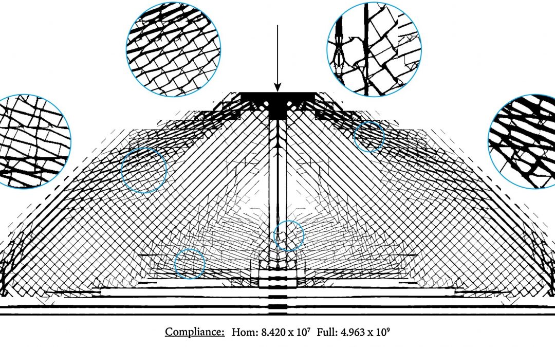 TU Delft Researchers Discuss Microstructural Optimization for 3D Printing Trabecular Bone