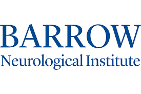 Barrow Neurological Institute: 3D Printed Spine Models Used for ...