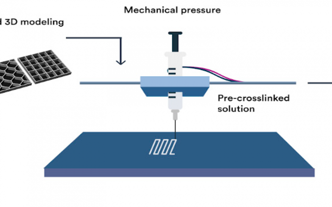 Mexico: Researchers Test 3D Printed Alginate/Gelatin Hydrogels