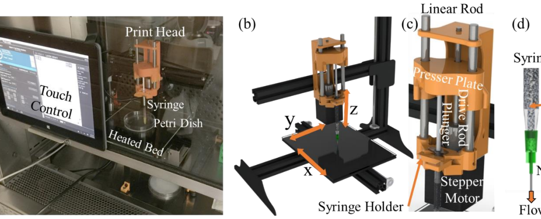 Oklahoma State University Dissertation: Bioprinting Neural Tissue with Chitosan-Gelatin Hydrogels