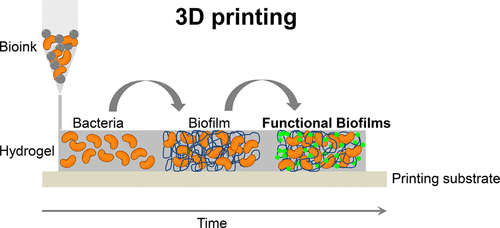 3D Biofilms for the Construction of Living Materials - 3DPrint.com | The Voice of 3D Printing / Additive Manufacturing