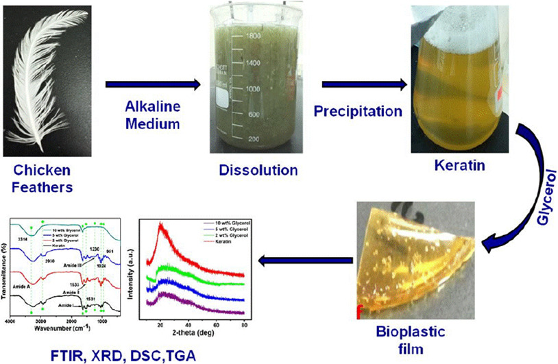 Eco Friendly 3D Printing? Chitin and Keratin Bioplastics - 3DPrint.com ...