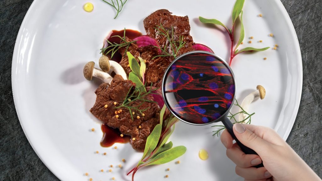 8 Players Leading the 3D Printed Meat Revolution - 3DPrint.com ...