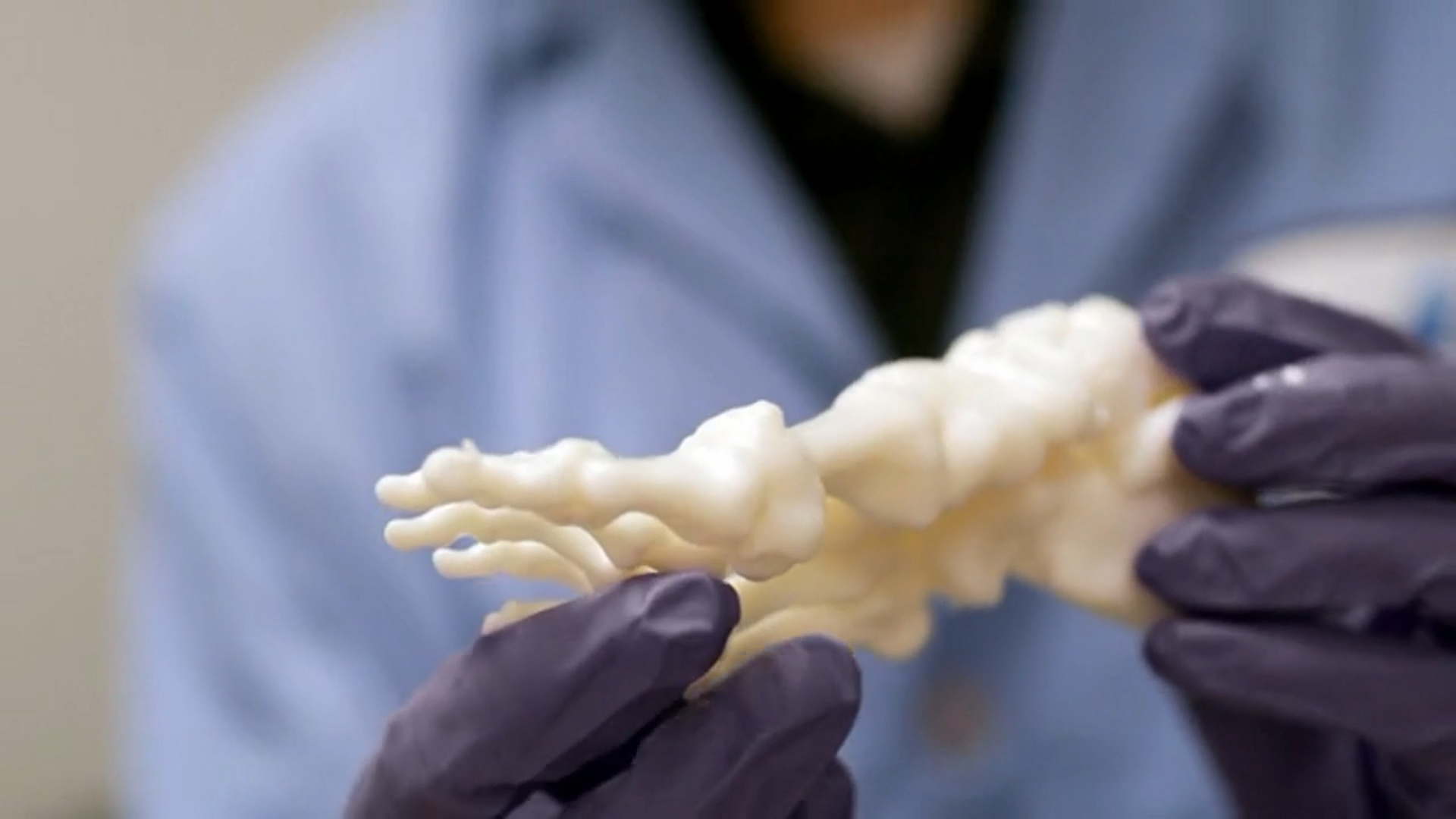 A 3D printed anatomical model by PrinterPrezz