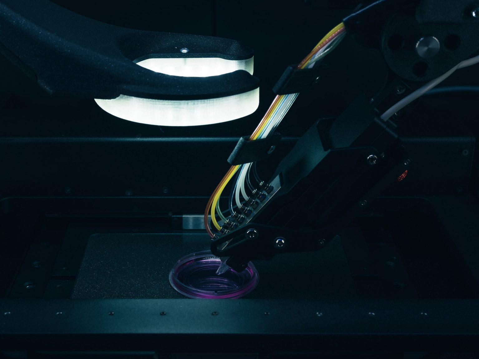 3D bioprinting with Fluicell's Biopixlar.