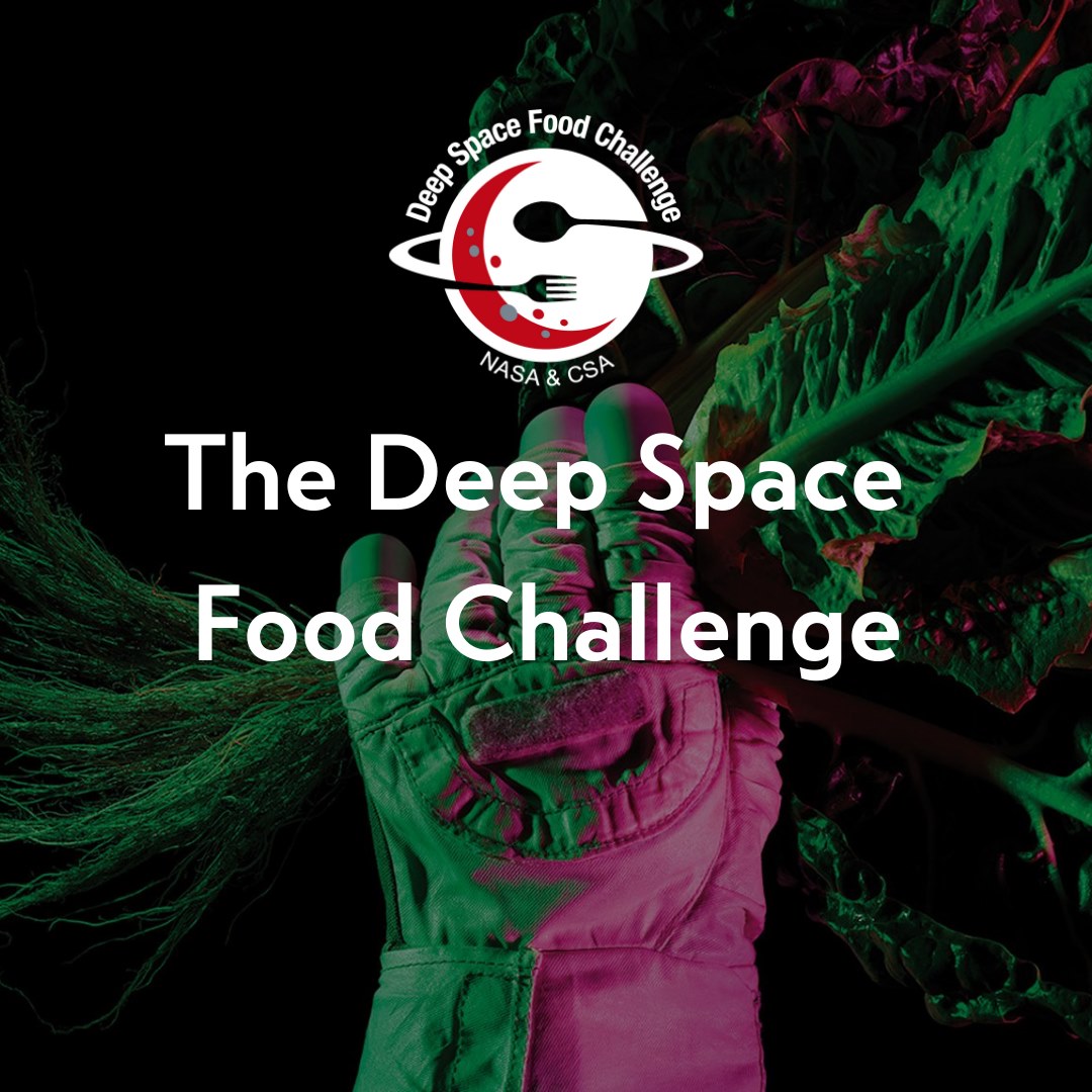 NASA's Deep Space Food Challenge logo.