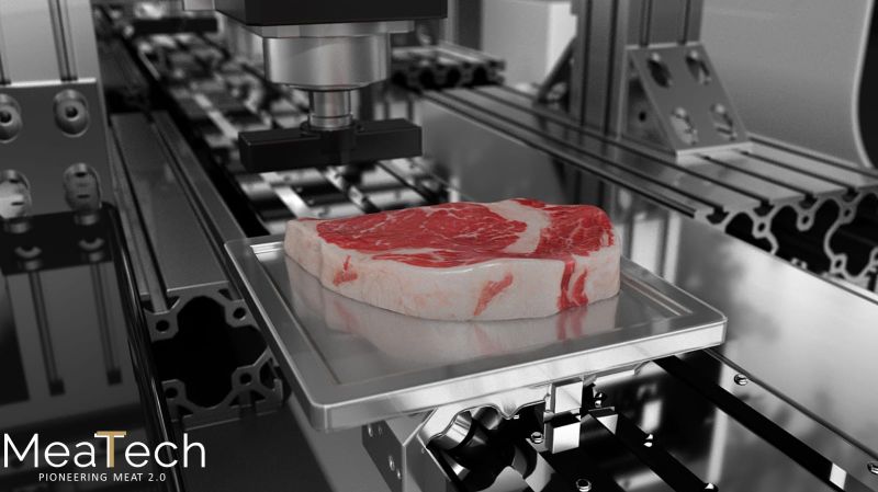 MeaTech wants to make 3D printed cultured meat industrial.