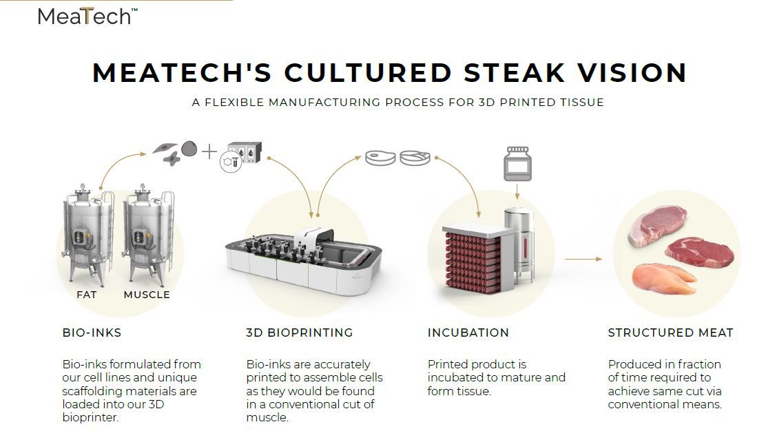 MeaTech's cultured meat steak vision