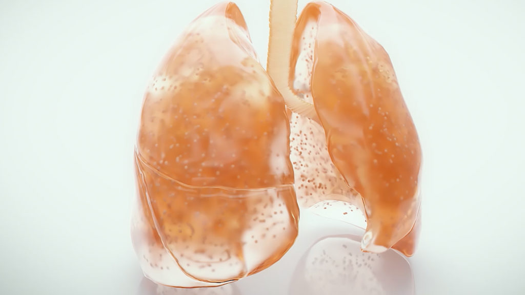 Biofabricated lung model.