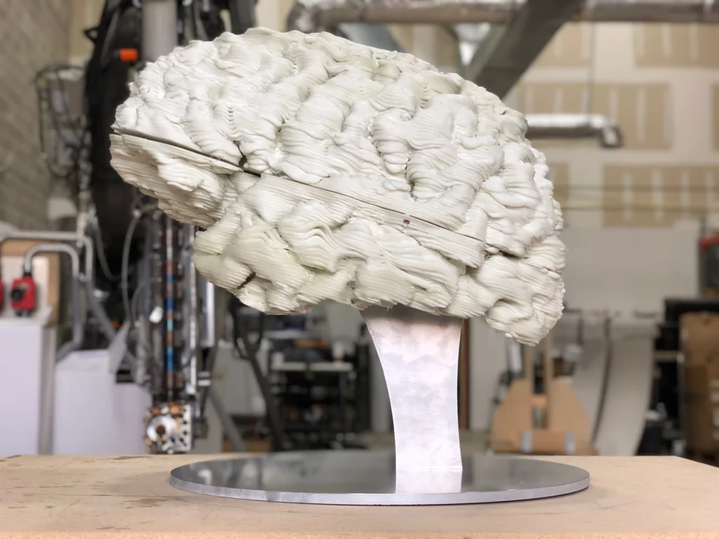 Elena Malott's 3D printed brain.
