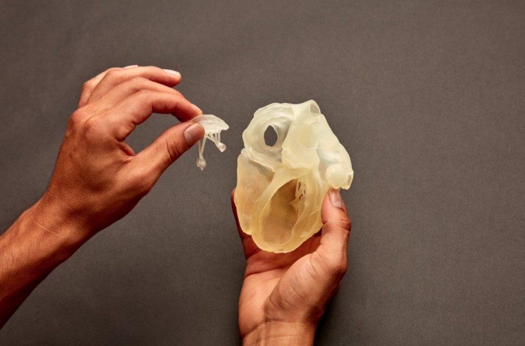 Anatomical model 3D printed with Stratasys J750.