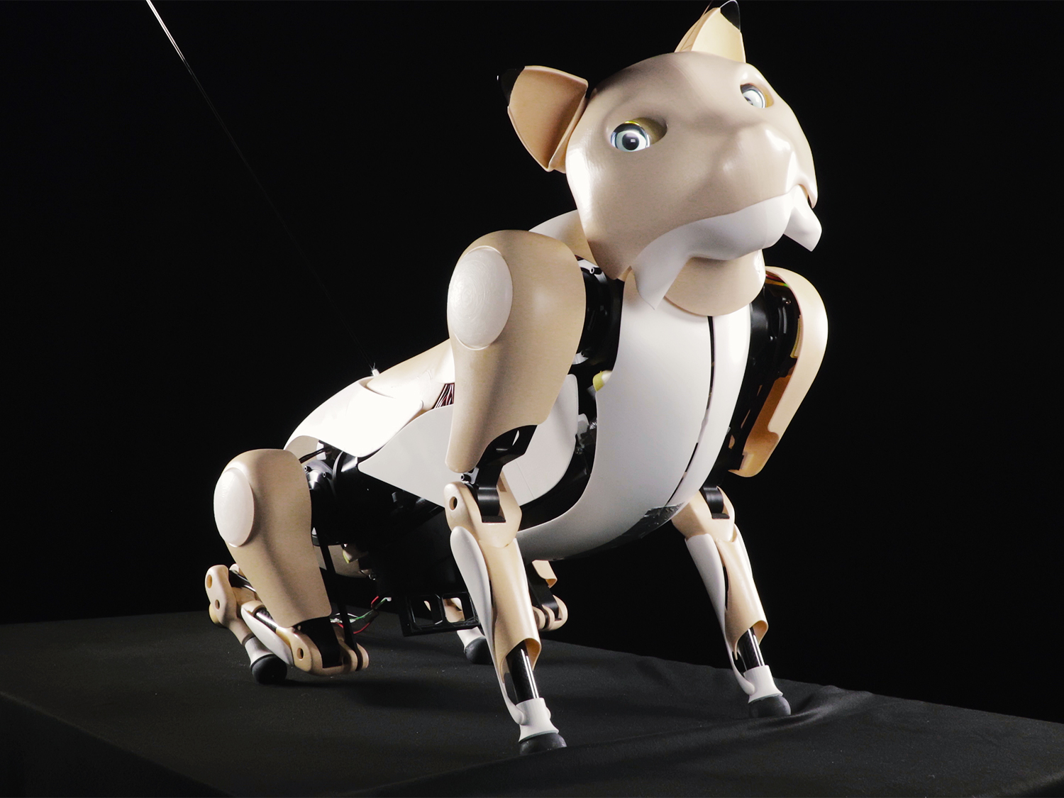 3D printed cat robot Dyana with its completed shell.