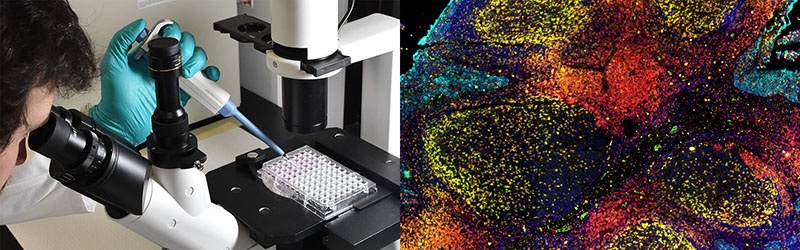 Bioprinting BICO Endorses FDA Modernization Act of 2021 – 3DPrint.com