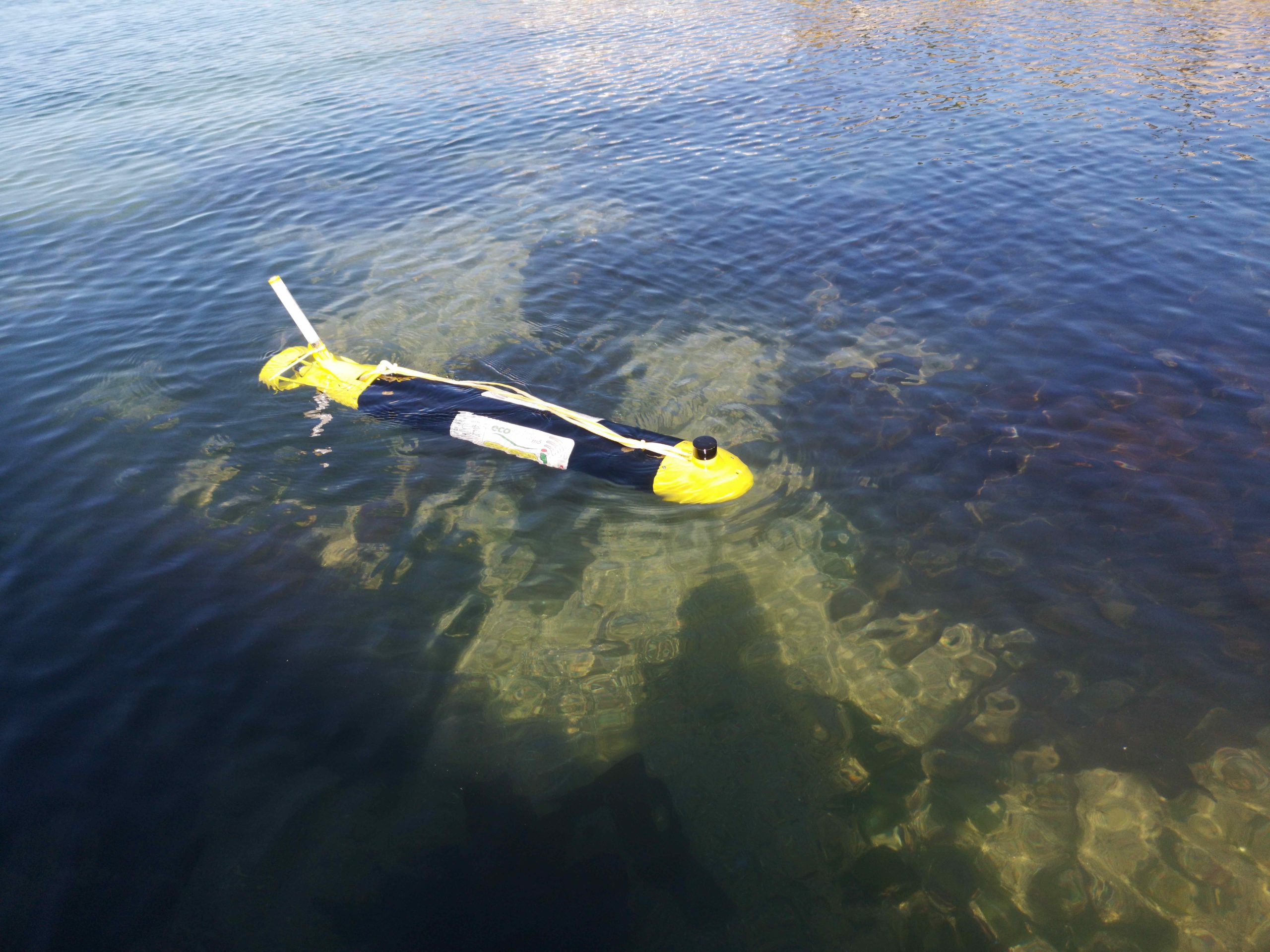 ecoSUB's autonomous underwater vehicles (AUV) deployed.