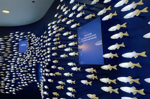 Dana-Farber's Zebrafish Display with 3D printed parts.