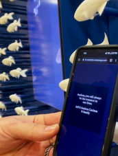 Newly refurbished Dana-Farber Zebrafish Display showcases message on smartphone. 