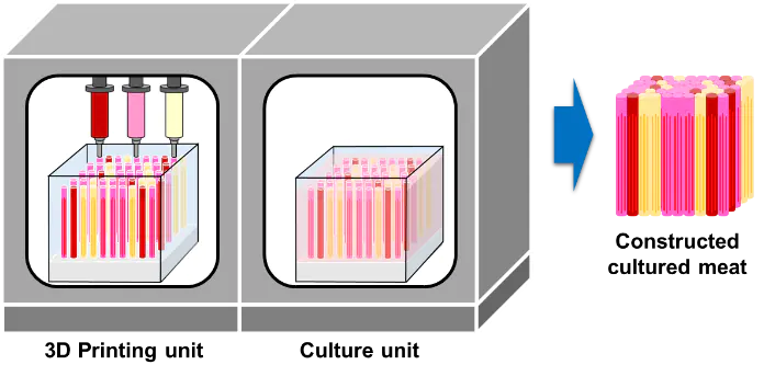 Illustration of an automated tailor-made cultured meat production device by 3D bioprinting. 