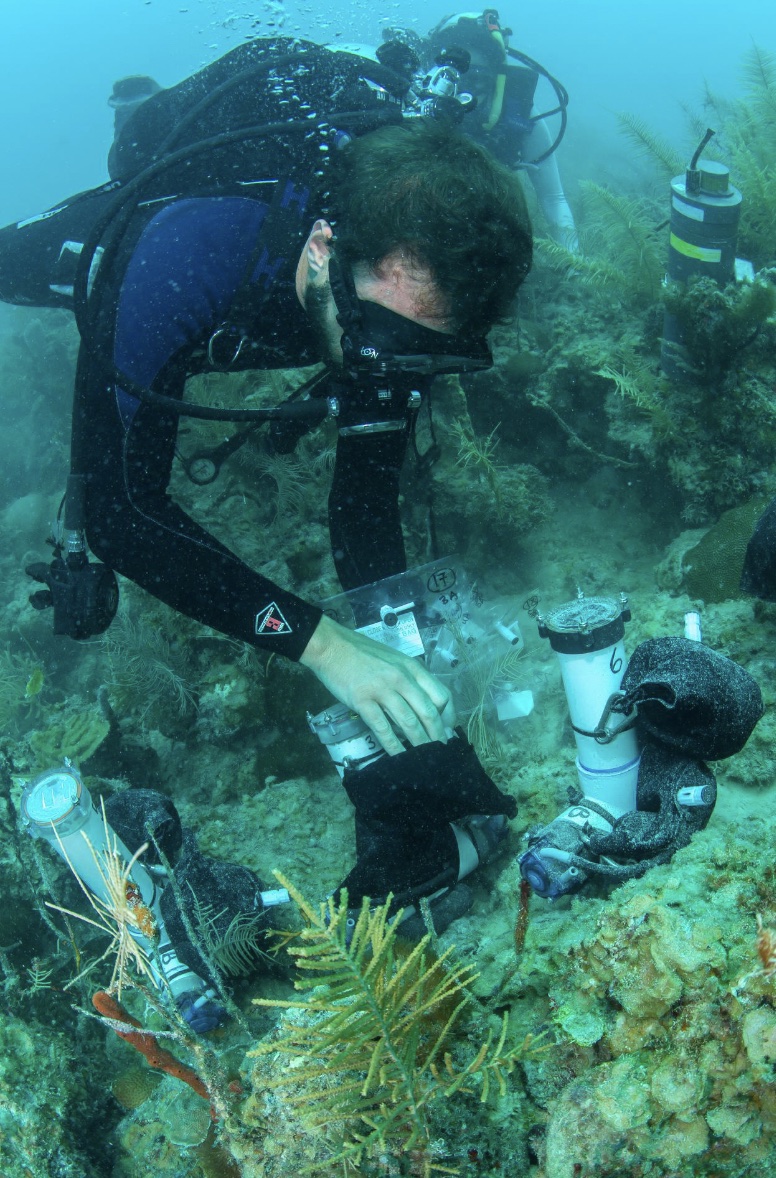 Deployment of underground automated water samplers (ASS) at Dry Tortugas.
