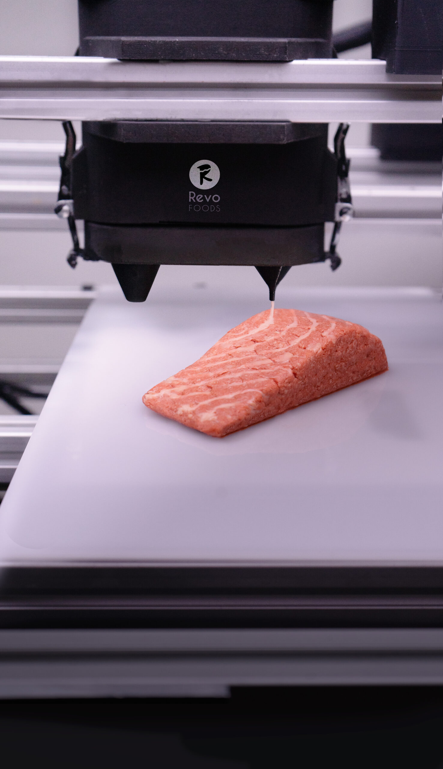 Revo Meals to Rev up Mass Manufacturing of 3D Printed Alt-Salmon ...