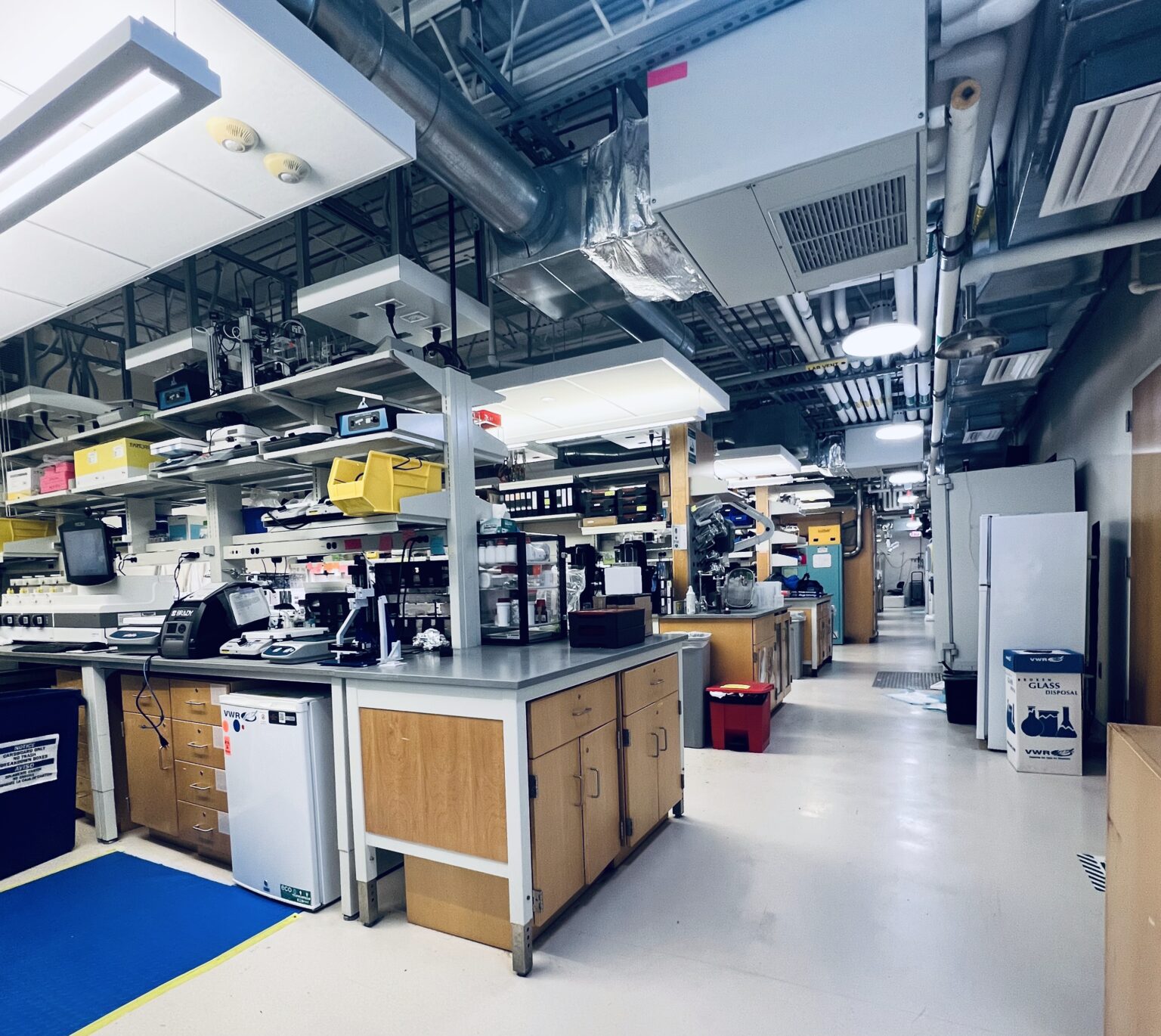 Harvard’s Jennifer Lewis Lab Is 3D Printing Artificial Muscles That ...