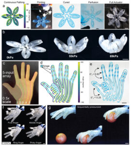 Harvard SEAS Engineers Develop 3D Printing Method for Soft Robotic ...