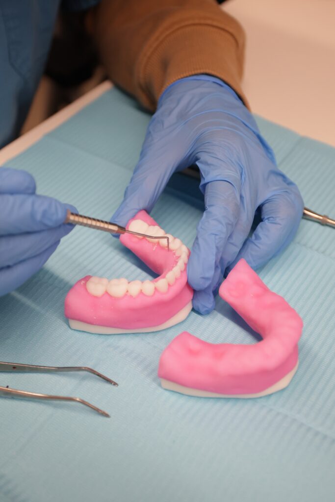 Stratasys Unveils 3D Printed Dental Anatomical Model Preset3DPrint.com | Additive Manufacturing Business 3 STRP049 Image 2