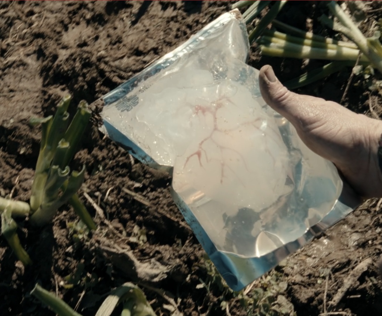 TV’s Scarpetta Suggests We Can 3D Print Full Human Organs. Reality Is… Not Yet