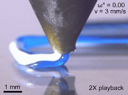 Harvard’s Jennifer Lewis Lab Is 3D Printing Artificial Muscles That Twist and Bend on Demand