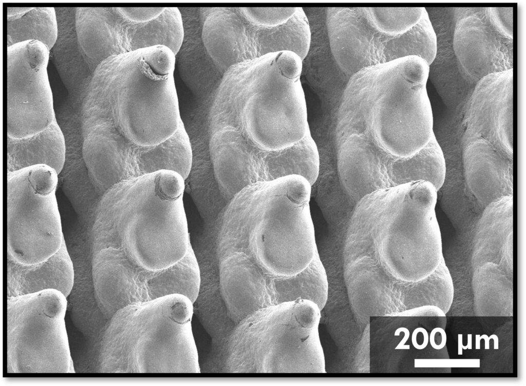 Fabric8Labs & University of Illinois Collaborate on 3D Printed Copper Cold Plates for Data Centers3DPrint.com | Additive Manufacturing Business 3 Copper cold plates close up CREDIT Cell Reports Physical Science Bazmi et al